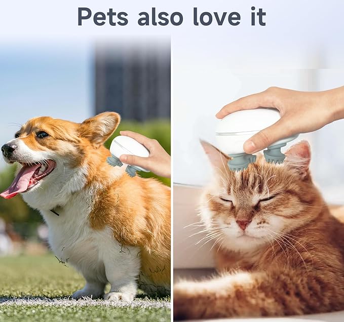 Functional Head Massager